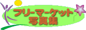 �t���}�ʐ^�W