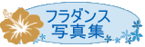 �t���_���X�ʐ^�W