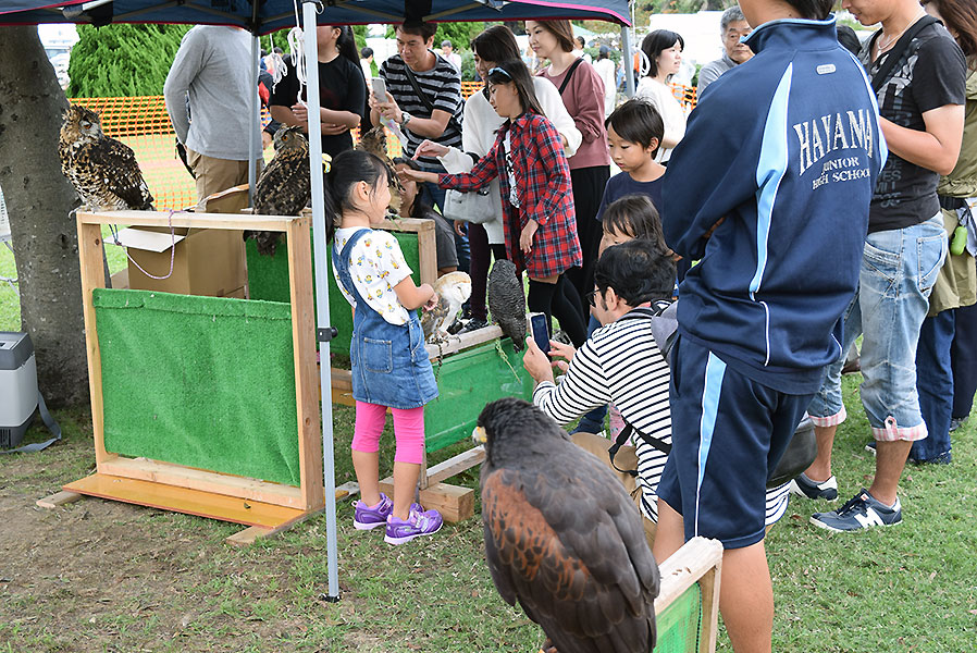 フクロウふれ合い撮影会 フクロウふれ合い撮影会