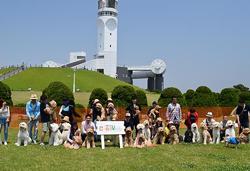ドッグラン・キャラバン