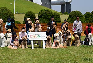 ドッグラン・キャラバン ドッグラン・キャラバン