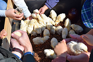 わくわくどうぶつランド わくわくどうぶつランド