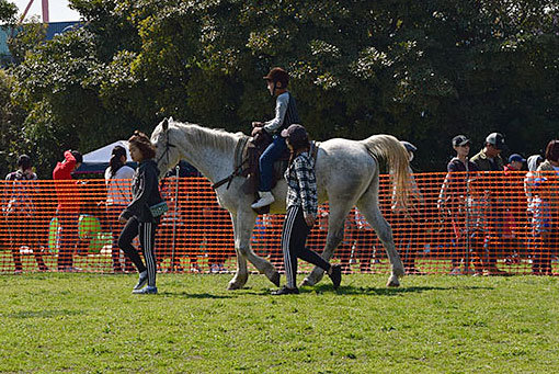乗馬体験 乗馬体験
