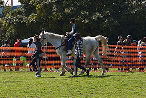 乗馬体験 乗馬体験