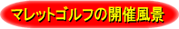 �}���b�g�S���t