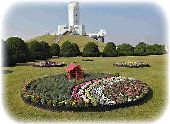 初夏の花壇 初夏の花壇