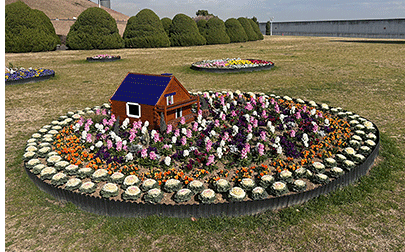 冬の花壇 冬の花壇