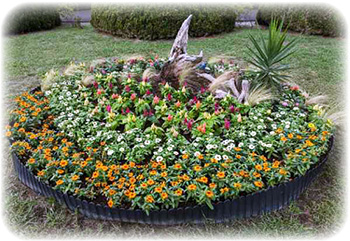 秋の花壇 秋の花壇