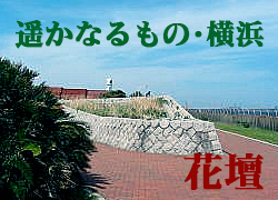 遙かなるもの・花壇(別ページで開きます) 遙かなるもの・花壇のリンク画像(別ページで開きます)