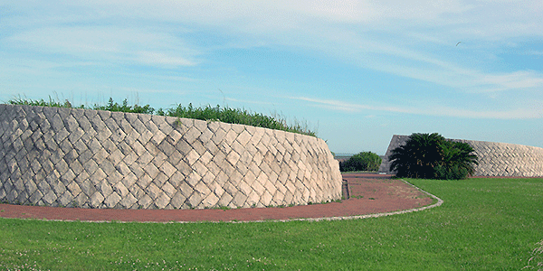 遥かなるもの花壇の写真 遥かなるもの花壇の写真