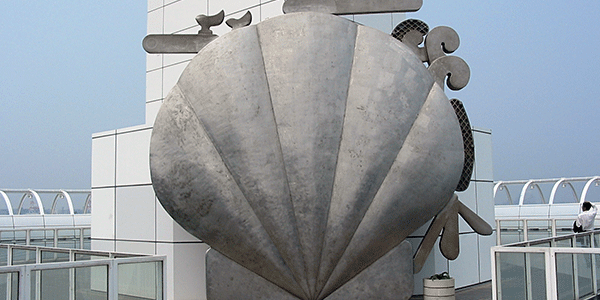 遥かなるもの貝の写真 遥かなるもの貝の写真